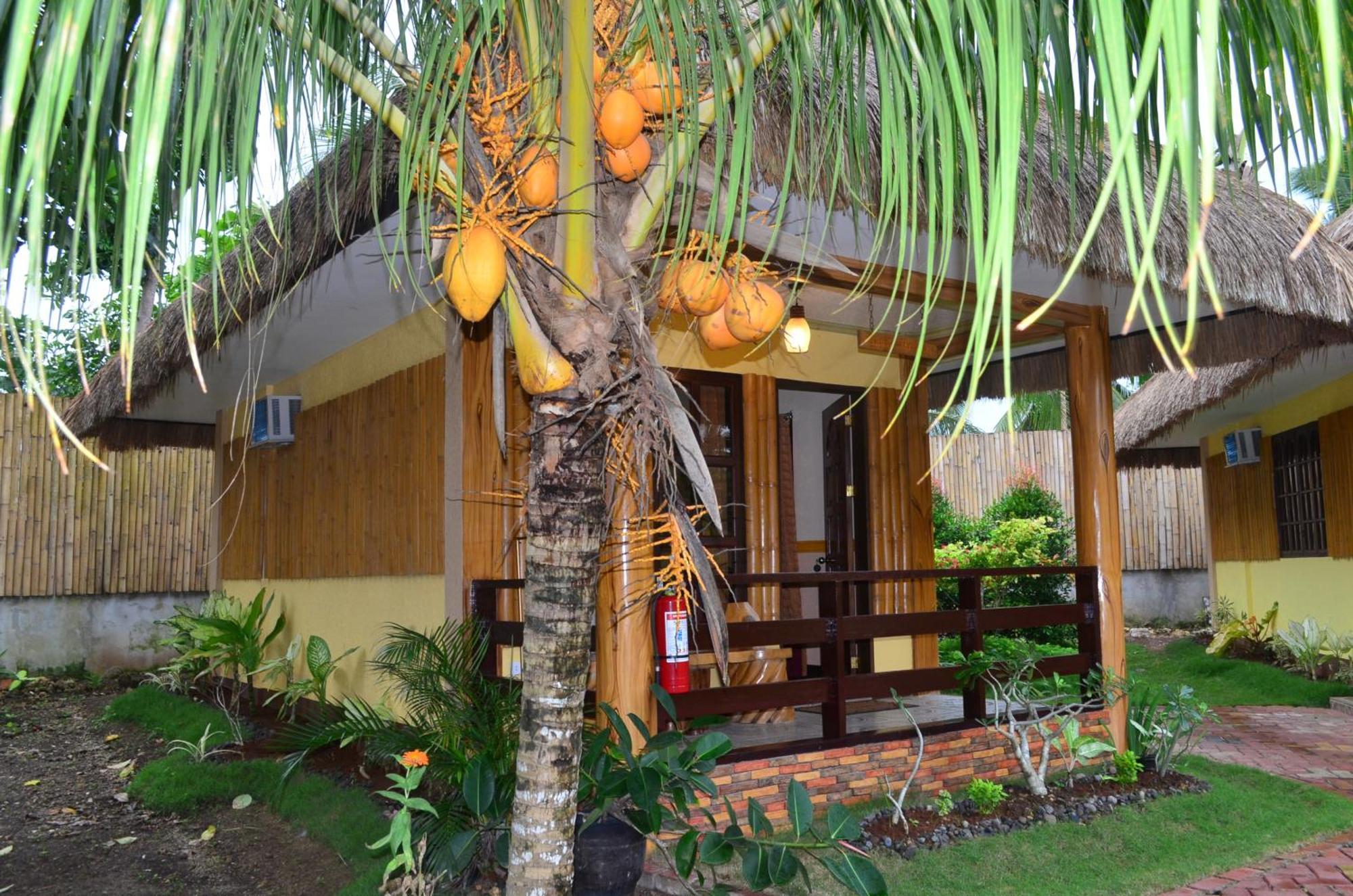 Veraneante Resort Панглао Номер фото
